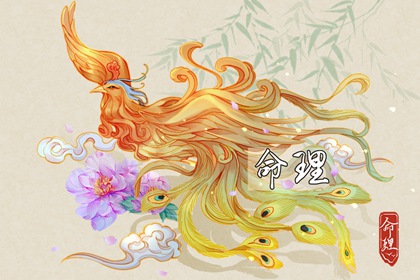 择吉老黄历皇历|老皇历查询|皇历